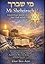 Mi Shebeirach: A Jewish Prayer Book for Healing- Body, Mind, and Soul