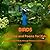 BIRDS Pictures and Poems for Kids: Learning about Birds through Pictures and Poems