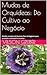 Mudas de Orquídeas: Do Cultivo ao Negócio: Modelo completo de Business Plan de Negócios para produção sustentável e lucrativa (Portuguese Edition)