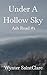 Under a Hollow Sky (Ash Road Book 1)