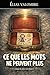 Ce que les mots ne peuvent plus (French Edition)
