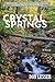 Crystal Springs: a Novel