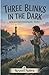 Three Blinks in the Dark: Ania and Kesi Investigate - Book 1