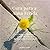 Cura para a Alma Ferida: Um Caminho Bíblico de Cura Interior e Restauração Emocional (Portuguese Edition)