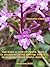 The Rare Plants of Crete. Book 3.
