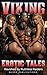 Viking Erotic Tales: Ravished by Ruthless Raiders – Explicit Adult Sex Short Stories of Captive Breeding, Forced Submission, Rough Domination, Berserker Lust, Revenge Spanking & More
