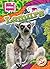 Lemurs (Ultimate Animal Library)