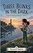 Three Blinks in the Dark: Ania and Kesi Investigate - Book 1