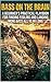 Bass on the Brain: A Beginner's Practical Playbook for Finding, Fooling, and Landing More Bass All Year Long