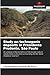 Study on technogenic deposits in Presidente Prudente, São Paulo