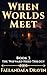 When Worlds Meet (The Wayward Hero Series Book 3)