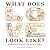 What Does Love Look Like?: an open-concept book for children and grown-ups to explore together.