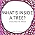 WHAT'S INSIDE A TREE?: A Journey Into Wood