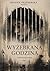 Wyżebrana godzina (Polish Edition)