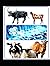 Pharmacology in Ruminants