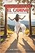 Descalza en el camino: Un paseo hacia la transformación (Spanish Edition)