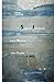 Splendore Imprigionato: Analisi di un dibattito fra Ernst Cassirer e Martin Heidegger (Italian Edition)