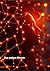Das andere Bitcoin: Alte Spuren (German Edition)