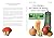 Les courges, de l'entrée au dessert : Créez votre menu: Plus de 100 recettes faciles et 61 courges identifiées et illustrées (French Edition)