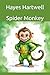 Spider Monkey