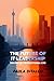 The Future of IT Leadership: The Rise of the Fractional CXO