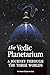 The Vedic Planetarium: A journey through the three worlds