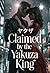 Claimed by the Yakuza King ...