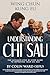 Understanding Chi Sau by Colin Ward