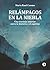 Relámpagos en la niebla: Una travesía interior entre la historia y el espíritu (Spanish Edition)