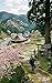 Nature deeply rooted in Japanese culture and daily life