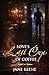 Love's Last Cup of Coffee: A Slow Burn Irish Romantic Suspense