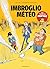 Imbroglio météo