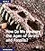 How Do We Measure the Ages of Strata and Fossils? (GM Kids Series 576 Book 363)