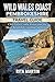 WILD WALES COAST PEMBROKESHIRE TRAVEL GUIDE : Cliff Paths Castle Ruins and the Most Beautiful Coastline in Britain