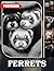 Ferrets Photo Book: Playful Mustelid Photography Capturing Curious Ferrets In Various Endearing Poses And Fun Activities | Ideal Gift For Animal Enthusiasts And Pet Owners