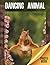 Dancing Animal Photo Book