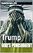 God's Punishment : Trump (The)