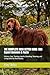 THE COMPLETE IRISH SETTER GUIDE: 500 Expert Answers & Facts: History, Care, Training, Health, Breeding, Showing, and Living with the Red Royalty (The Complete Dog Guide Series)