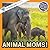 Animal Moms!: A My Incredible World Picture Book for Children (My Incredible World: Nature and Animal Picture Books for Children)