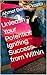 Unleash Your Potential: Igniting Success from Within