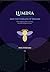 Lumina and the Threads of Dreams - A BEDTIME STORY FOR EVERY DREAMER