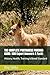 THE COMPLETE PORTUGUESE PODENGO GUIDE: 500 Expert Answers & Facts: History, Health, Training & Breed Standard (The Complete Dog Guide Series)