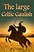 The Large Celtic Gaulish by Stéphane Jean