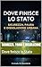 SICUREZZA, PAURA E DISSOLUZIONE: Dove finisce lo Stato (Aforismi Vol. 34) (Italian Edition)