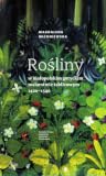 Rośliny w małopolskim gotyckim malarstwie tablicowym 1420-1540