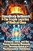Borosilicate Bottleneck: Th...