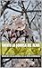 CUENTO LA SONRISA DEL ALMA (Spanish Edition)
