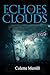 Echoes From the Dark Clouds: A Walk in the Fog