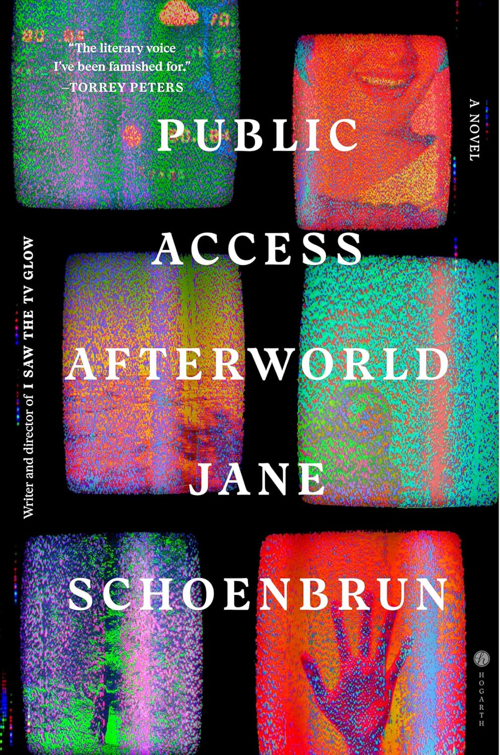 Public Access Afterworld (Hardcover)
