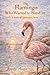 The Flamingo Who Wanted to Blend In: A Seeds of Connection Story